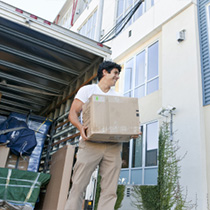 Van Man Services Loxford